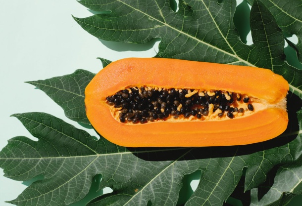 papaya ovocie papája
