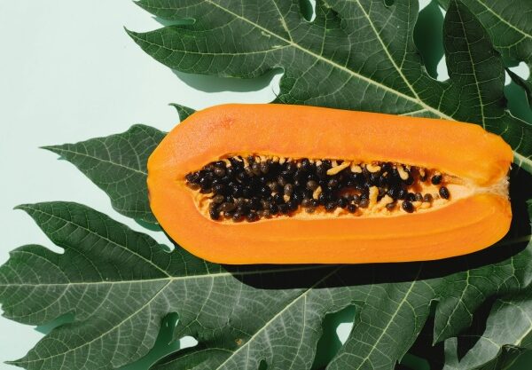 papaya ovocie papája